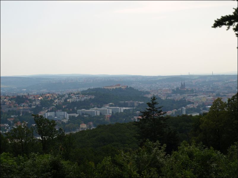 38_Petr_nedele